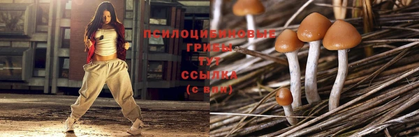 apvp Надым