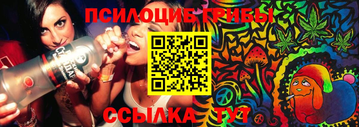 Галлюциногенные грибы ЛСД  купить наркотик  Псилоцибиновые грибы GOLDEN TEACHER  Тверь 