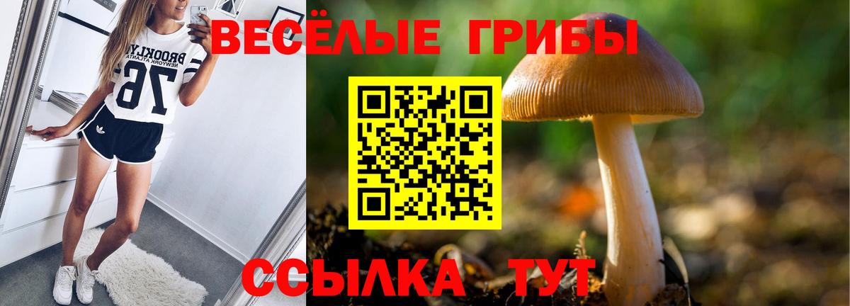 Тверь  Псилоцибиновые грибы мухоморы  Вход с VPN 