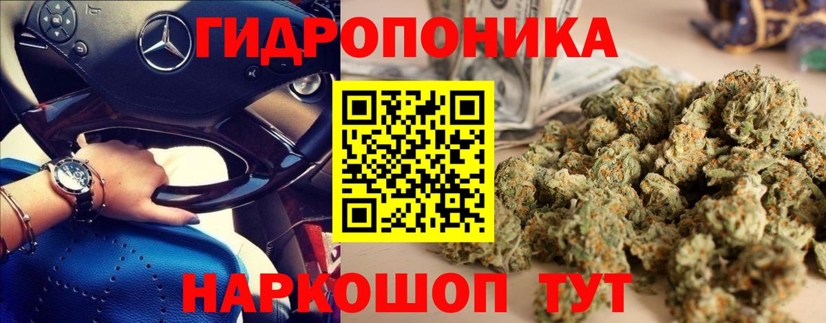 Бошки Шишки AK-47  Тверь  Конопля VHQ  Марихуана план 